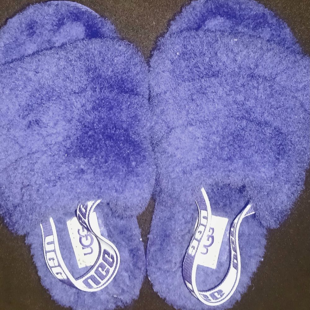 UGG Plush Navy Slippers